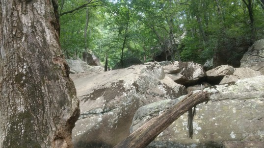 img_20180713_122858120